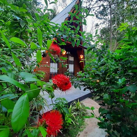 The Otunna Guest House Sigiriya Exterior photo